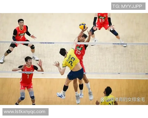 李磊的排球人生：从赛场拼搏到心灵成长的对话分享