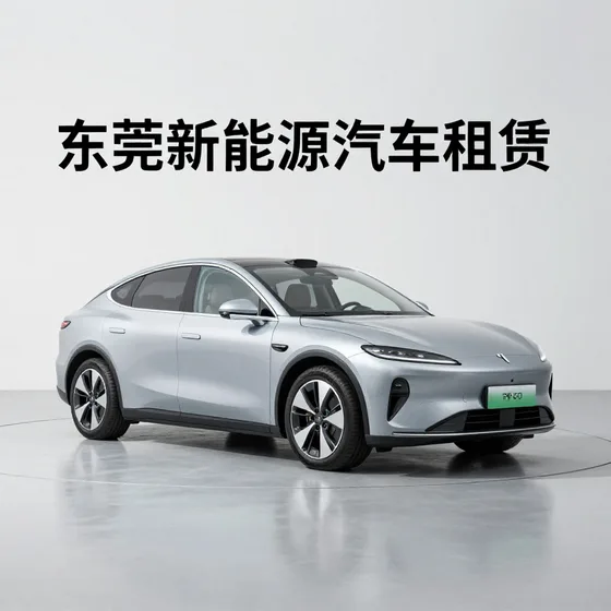 东莞新能源汽车租赁专业团队
